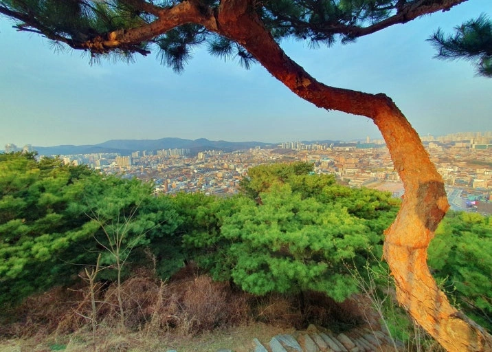 Paldalsan Mountain (great vantage point over fortress wall)