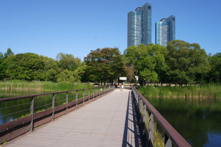 Seoul Forest Waterside Path_image1