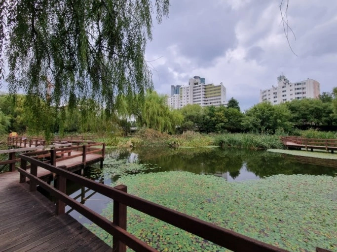 Seoul Forest Waterside Path_image2