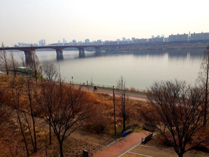 Seoul Forest Waterside Path_image3