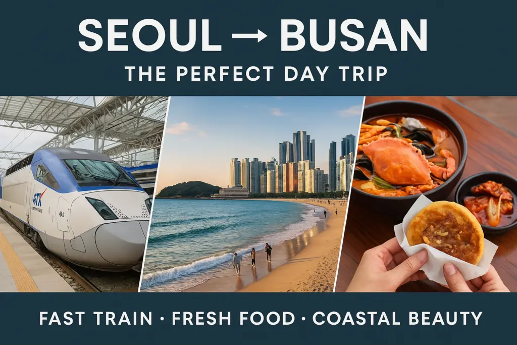 Seoul → Busan - The Perfect Day Trip